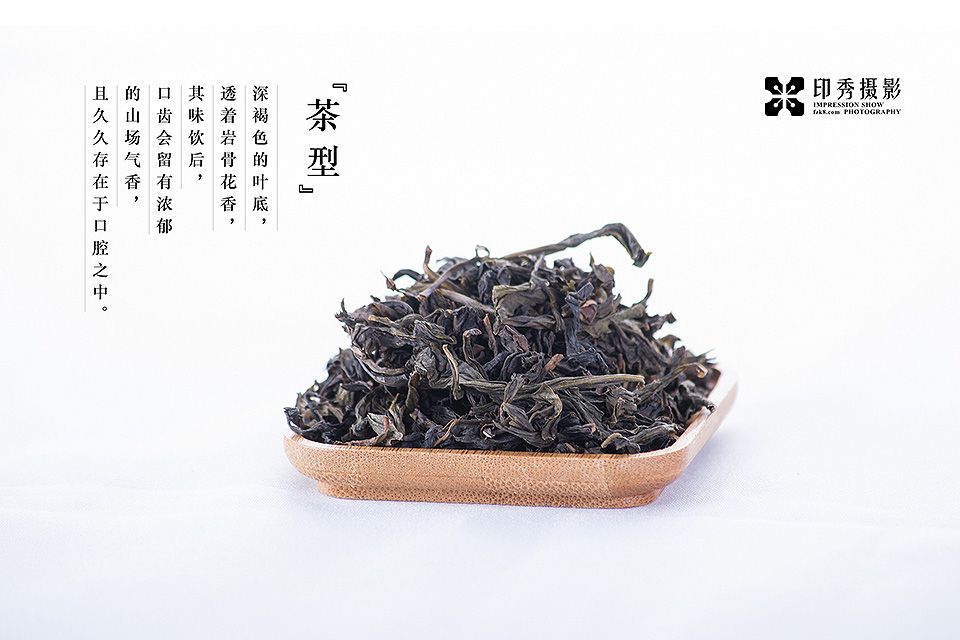 福州茶叶摄影