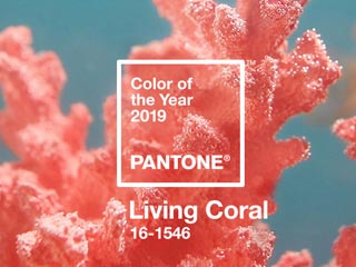 2019年潘通年度流行色「活力珊瑚橙」新鲜出炉